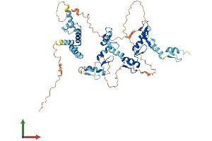 Protein Structure (PS) image for Zinc Finger Protein 397 (ZNF397) (AA 1-534) protein (His tag) (ABIN7545548)