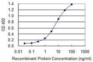 Detection limit for recombinant GST tagged SAV1 is 0. (SAV1 抗体  (AA 300-383))