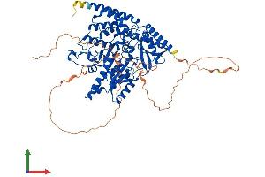 Protein Structure (PS) image for Histidine Decarboxylase (HDC) (AA 1-662) protein (His tag) (ABIN7562983)