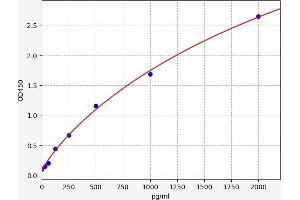 Typical standard curve (REST ELISA 试剂盒)