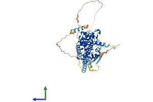 AlphaFold protein structure predicition of Human Recombinant DEF8 Protein, UniprotID Q6ZN54 (DEF8 Protein (AA 1-512) (His tag))