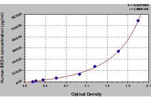 Typical Standard Curve (BRD4 ELISA 试剂盒)