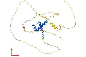 Protein Structure (PS) image for Mesenchyme Homeobox 2 (MEOX2) (AA 1-303) protein (His tag) (ABIN7563136)