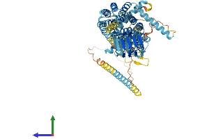AlphaFold protein structure predicition of Human Recombinant SV2C Protein, UniprotID Q496J9 (SV2C Protein (AA 1-727) (His tag))