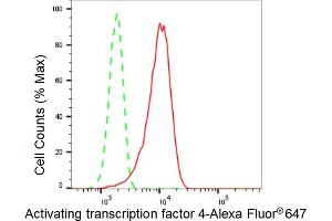 Flow cytometric analysis of Activating transcription factor 4 expression in HT- cells using Activating transcription factor 4 antibody (ABIN7797483), 1:2,000). (Recombinant ATF4 抗体)