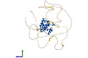 AlphaFold protein structure predicition of Human Recombinant ONECUT1 Protein, UniprotID Q9UBC0 (ONECUT1 Protein (AA 1-465) (His tag))