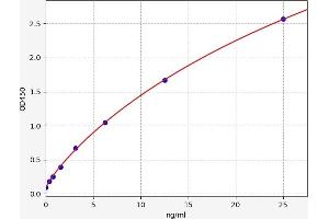 Typical standard curve (REG3B ELISA 试剂盒)