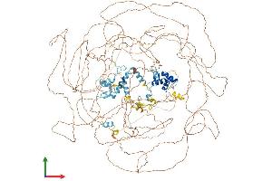 Protein Structure (PS) image for Additional Sex Combs Like 1 (ASXL1) (AA 1-1541) protein (His tag) (ABIN7552419)
