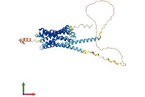 Protein Structure (PS) image for Histamine Receptor H3 (HRH3) (AA 1-445) protein (His tag) (ABIN7556518)
