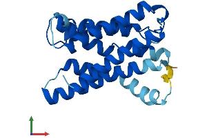 AlphaFold protein structure predicition of Human Recombinant KDELR3 Protein, UniprotID O43731