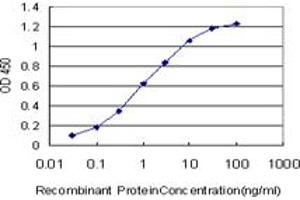 Detection limit for recombinant GST tagged KSR2 is approximately 0. (KSR2 抗体  (AA 411-500))