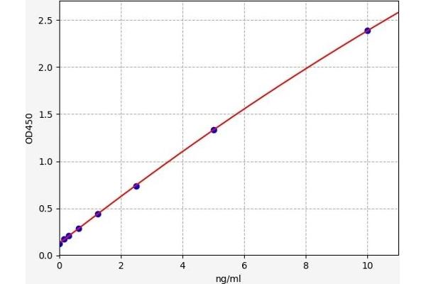 ZNF654 ELISA 试剂盒