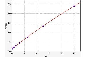 Typical standard curve (ZNF654 ELISA 试剂盒)