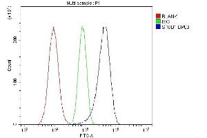 anti-STIP1 Homology and U-Box Containing Protein 1 (STUB1) (AA 51-303) antibody