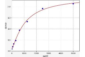 Typical standard curve (Methylase ELISA 试剂盒)