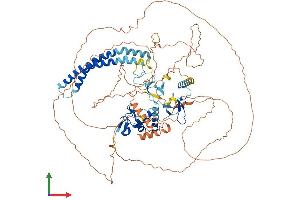 Protein Structure (PS) image for Ring Finger Protein 19A (RNF19A) (AA 1-838) protein (His tag) (ABIN7555256)