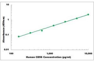 Representative Standard Curve (CD56 ELISA 试剂盒)