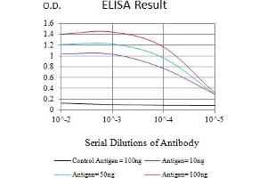 Black line: Control Antigen (100 ng),Purple line: Antigen (10 ng), Blue line: Antigen (50 ng), Red line:Antigen (100 ng) (SETD7 抗体  (AA 107-366))