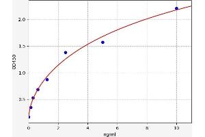 Typical standard curve (ARNT ELISA 试剂盒)