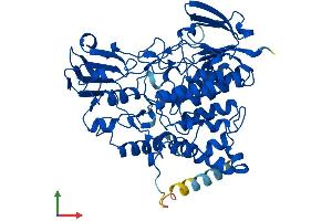 AlphaFold protein structure predicition of Human Recombinant FMO5 Protein, UniprotID P49326