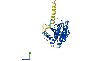 Protein Structure (PS) image for RAS-Like, Family 11, Member A (RASL11A) (AA 1-242) protein (His tag) (ABIN7557928)