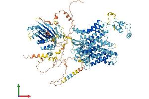 Protein Structure (PS) image for Solute Carrier Family 4, Sodium Bicarbonate Cotransporter, Member 8 (SLC4A8) (AA 1-1093) protein (His tag) (ABIN7555430)