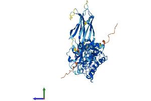 Protein Structure (PS) image for Copine VII (CPNE7) (AA 1-557) protein (His tag) (ABIN7556954)