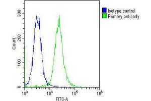 Overlay histogram showing K562 cells stained with Antibody (green line). (HBa2 抗体  (AA 100-128))