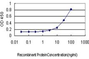 Detection limit for recombinant GST tagged MUTYH is approximately 1ng/ml as a capture antibody. (MUTYH 抗体  (AA 436-535))