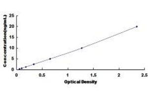 Typical Standard Curve (Permeability Glycoprotein ELISA 试剂盒)