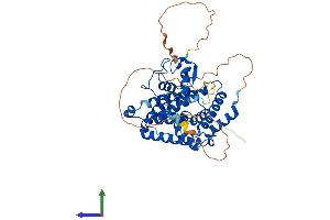 AlphaFold protein structure predicition of Human Recombinant NR6A1 Protein, UniprotID Q15406