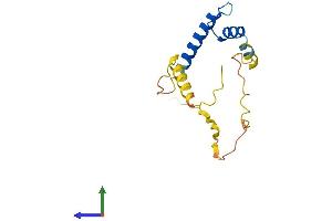 Protein Structure (PS) image for Inhibitor of DNA Binding 1, Dominant Negative Helix-Loop-Helix Protein (ID1) (AA 1-155) protein (His tag) (ABIN7548492)