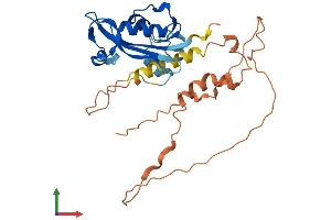 AlphaFold protein structure predicition of Mouse Recombinant Isg20 Protein, UniprotID Q9JL16
