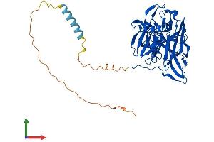 Protein Structure (PS) image for Calcium Activated Nucleotidase 1 (CANT1) (AA 1-403) protein (His tag) (ABIN7559815)