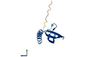 Protein Structure (PS) image for COMM Domain Containing 6 (COMMD6) (AA 1-87) protein (Fc Tag) (ABIN7557359)