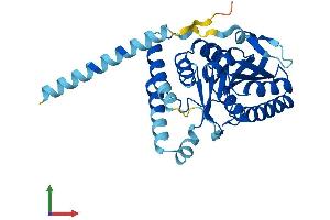 Protein Structure (PS) image for Asparagine-Linked Glycosylation 5, Dolichyl-Phosphate beta-Glucosyltransferase Homolog (S. Cerevisiae) (ALG5) (AA 1-324) protein (His tag) (ABIN7561253)