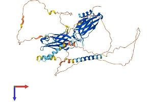 Synaptotagmin 3 Protein (AA 1-590) (His tag)