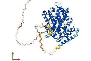 AlphaFold protein structure predicition of Mouse Recombinant Sesn2 Protein, UniprotID P58043