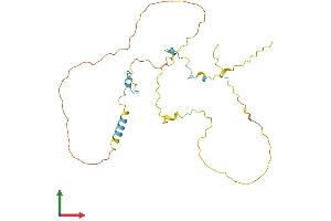 AlphaFold protein structure predicition of Mouse Recombinant Cdca3 Protein, UniprotID Q99M54 (CDCA3 Protein (AA 1-266) (His tag))