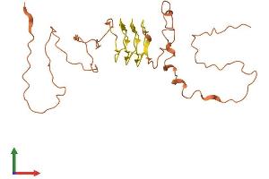 Protein Structure (PS) image for Keratin Associated Protein 5-11 (KRTAP5-11) (AA 1-237) protein (His tag) (ABIN7548767)