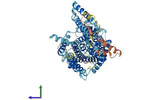 Protein Structure (PS) image for Solute Carrier Family 7 (Cationic Amino Acid Transporter, Y+ System), Member 1 (SLC7A1) (AA 1-629) protein (His tag) (ABIN7553557)