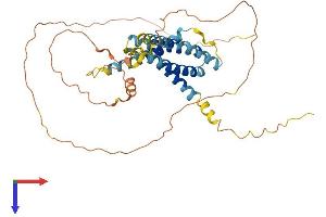 TMEM79 Protein (AA 1-391) (His tag)