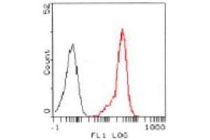 Image no. 1 for anti-Formyl Peptide Receptor 2 (FPR2) antibody (ABIN329919) (FPR2 抗体)