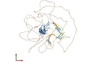 AlphaFold protein structure predicition of Mouse Recombinant Cenpc Protein, UniprotID P49452
