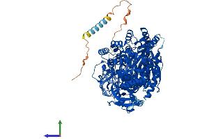 AlphaFold protein structure predicition of Mouse Recombinant Enpep Protein, UniprotID P16406