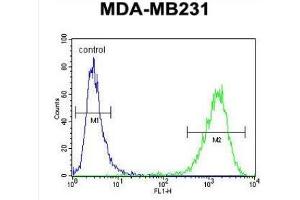 Flow Cytometric analysis of MDA-MB231 cells using CF150 Antibody (Center) Cat.