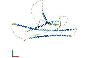 AlphaFold protein structure predicition of Human Recombinant TNIP1 Protein, UniprotID Q15025