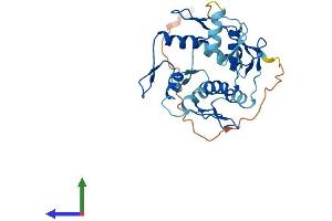 Protein Structure (PS) image for Zinc Finger Protein 80 (ZNF80) (AA 1-273) protein (His tag) (ABIN7545836)