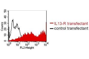 IL13 Receptor alpha 1 抗体  (Extracellular Domain)