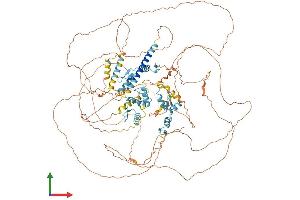 Protein Structure (PS) image for Sal-Like 4 (SALL4) (AA 1-1053) protein (His tag) (ABIN7555410)